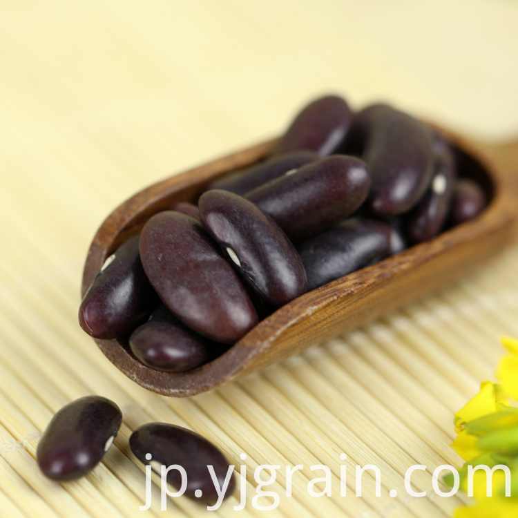 Purple Kidney Beans 